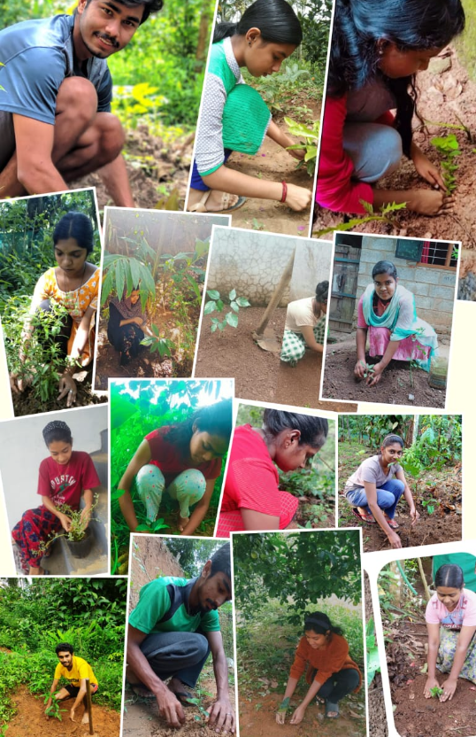 Pazhassirajacollege | Pulpally